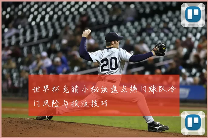 世界杯竞猜小秘诀盘点热门球队冷门风险与投注技巧